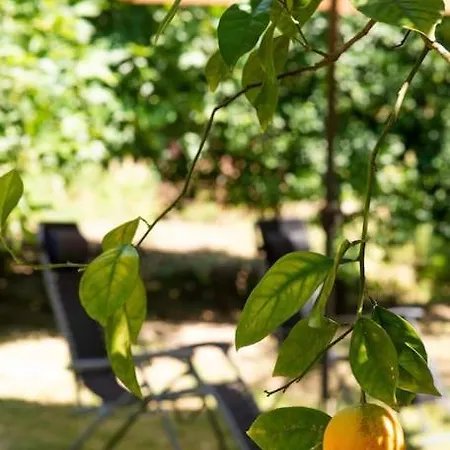 Casa de Férias Bibelo *