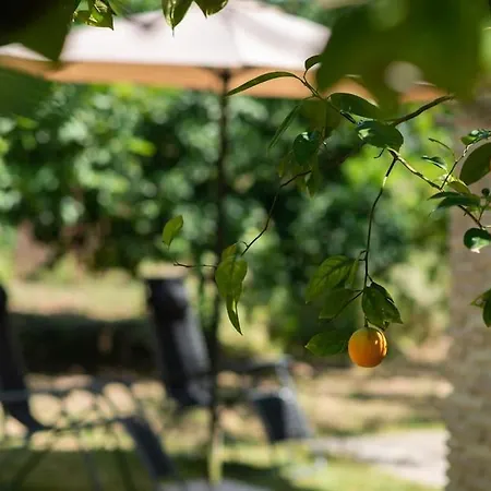 בית נופש Bibelo לגאנאס